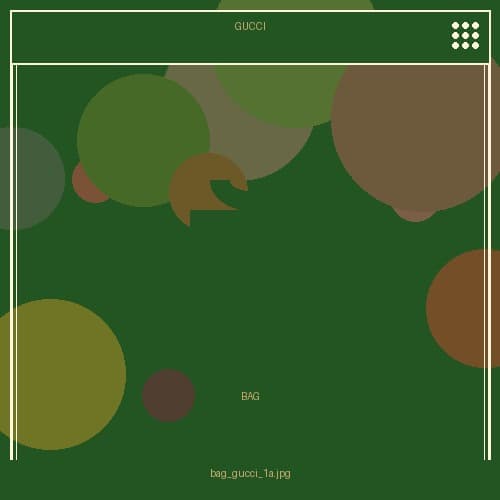 جانتای شانی گووچی