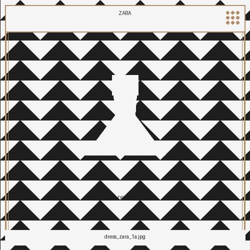 کراسی زارا بە نەخشەی گوڵ